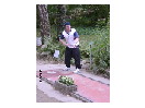 thumbnail19