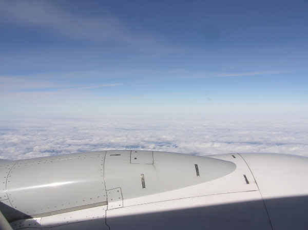 P2090019